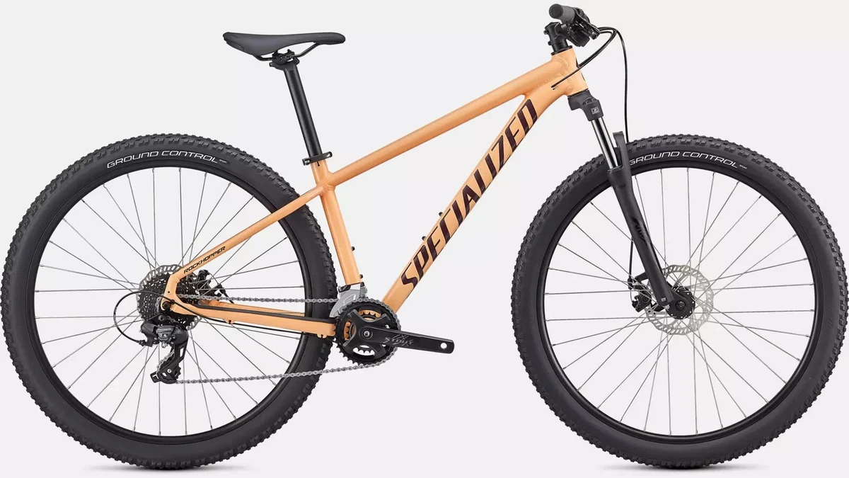 Specialized 2025 authorized dealer
