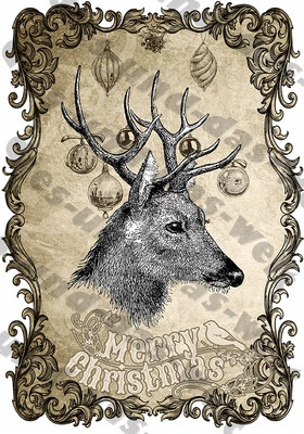 MARKENLOS ★ RENNA IMMAGINE DA STIRARE per decorazione/t-shirt Din A4 vintage Natale alce cervo NUOVO