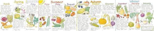 Seasonal Fruit and Vegetables Wallchart (Poster) Liz Cook Charts