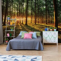Riesiges Tapete Wandkunst 368X254 Cm Wohnzimmer Wald Sunrise Schlafzimmer Dekor