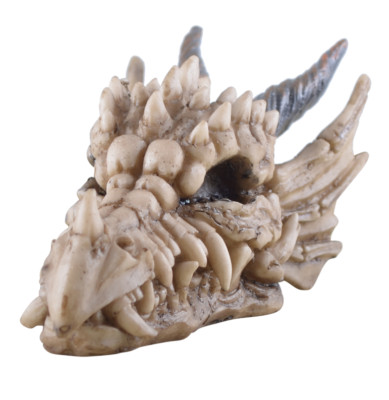 Kleiner Drachenschädel Skelet Totenschädel Schädel Figur Drache 14 cm
