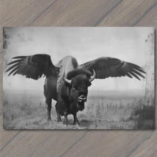 POSTCARD Buffalo Bison Majestic Winged Soaring in the Sky Buffalo Wings Funny