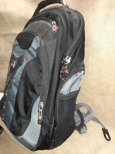 swissgear pegasus backpack