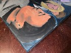 Bild 6 von 12