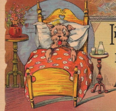 Ill Sick Dog in Bed Postcard