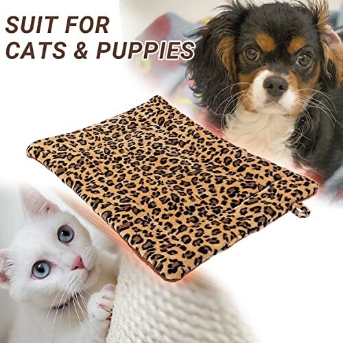 FLYSTAR Cat Bed Mat - Self Heating Warming Leopard Cute Cat Pad, Soft Flannel &