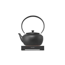 MoonKettle | Electric Kettle with Temp Control (122°F - 212°F) | HOLD & Keep ...