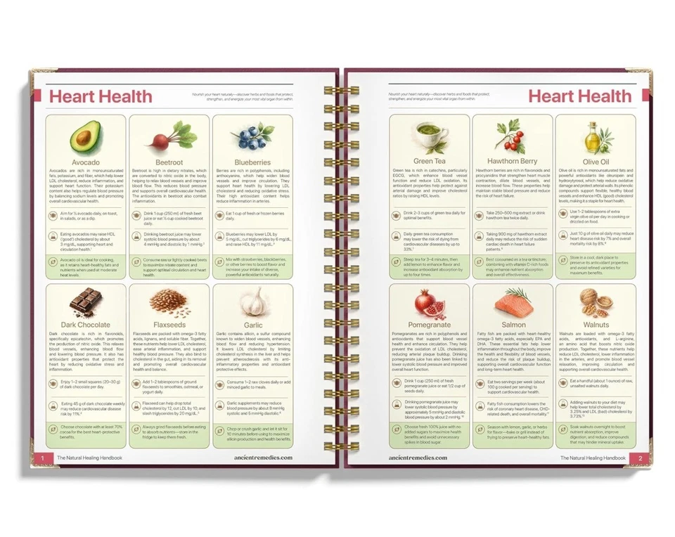 The Natural Healing Handbook, Spiral-Bound Guide for Herbal Remedies and Natural - image 4 of 4