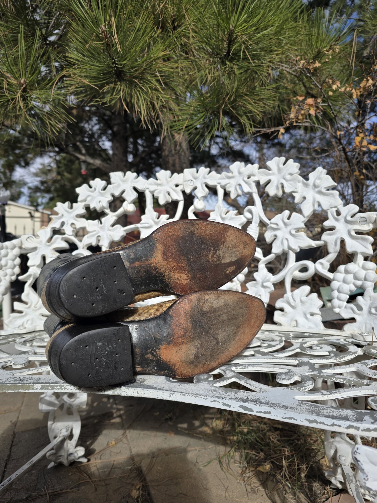 9.5D 🔥🐍 ROCK PYTHON SNAKESKIN POINTED TOE🔥🐍 V… - image 21