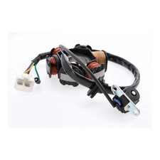 Lichtmaschinenstator Stator Lima f&uuml;r ATV 110ccm Magnetspule Lichtmaschine