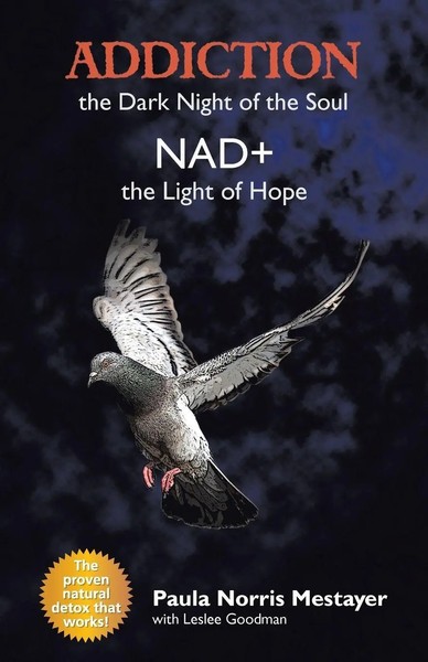 Addiction The Dark Night Of The Soul/ Nad+: The Light Of Hope Mestayer Buch 2019-image