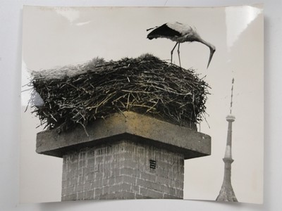 Storch Vogelnest Schornstein Stapel Frankfurt Deutschland Frühjahr 1969 Vintage Pressefoto