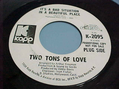 TWO TONS OF LOVE - PROMO - IT'S A BAD SITUATION IN A BEAUTIFUL PLACE - EX VINYL