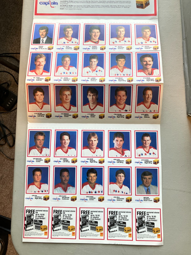 Washington Capitals 1987-88 Team Photo Album (25 Player Cards) (Corners worn) 2 - Picture 3 of 4