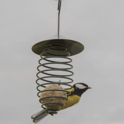 ESSCHERT DESIGN Molla mangime per gnocchi di ferro 104-FB122 mangime per uccelli mangiatoia porta gnocchi di ferro