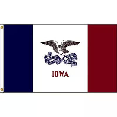 Annin Flagmakers 141780 Iowa Flag, 5X8 Ft, Nylon