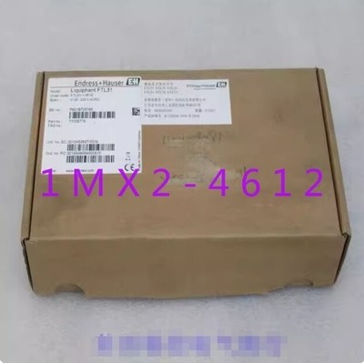 1pc new  E+H  FTL31-1191/0  FTL31-AA1U2AAWBJ *vv