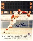 Bob Gibson Autographed 8x10 Photo PSA/DNA Cardinals