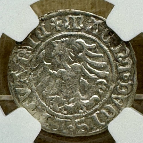 Poland Lithuania 1509 1/2 Groat Pólgrosz NGC AU58 Sigismund I Old Rare Grade - Picture 3 of 5