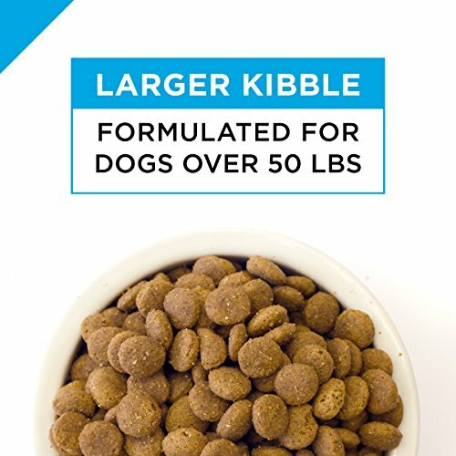 purina pro plan 47 lb bag