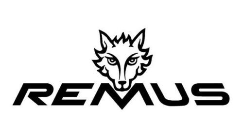 REMUS Sportauspuff Endschalldämpfer Fiat Punto Evo Abarth 1.4l 163 PS links - Bild 1 von 1
