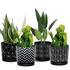Flower Pots,5.5 Inch Black Ceramic Planter with Drainage Hole,Indoor Cylinder...