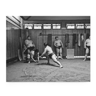Sumo Puzzle - 120, 252, 500-Piece, Sumo lovers gift, Japan motivation