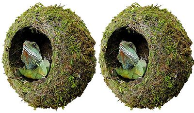 kathson 2pcs 6'' Reptile Moss Cave Hide for Humidity,Mossy Hideout for Turtle Cre