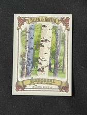 2021 Allen and Ginter Arboreal Appreciation #AA-11 Black Birch NM-MT