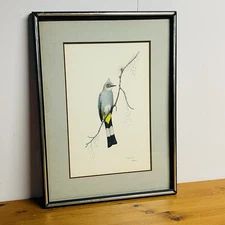 Gray Silky-Flycatcher F.P. Bennett Jr. Wall Art Home Accent Decor