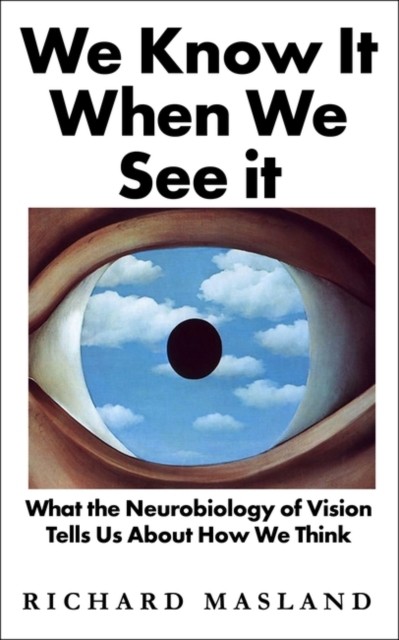 We Know It When We See It by Richard Masland (Hardback Book)