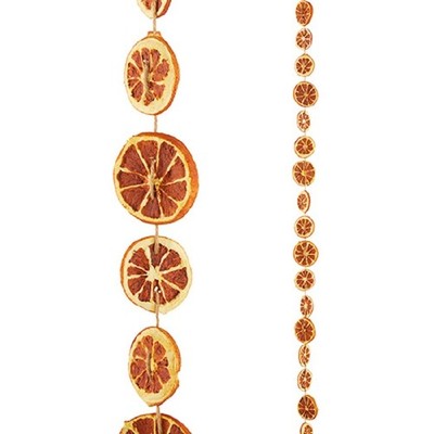 RAZ Imports Garland, Orange Slices - 5.5' (G4202278)