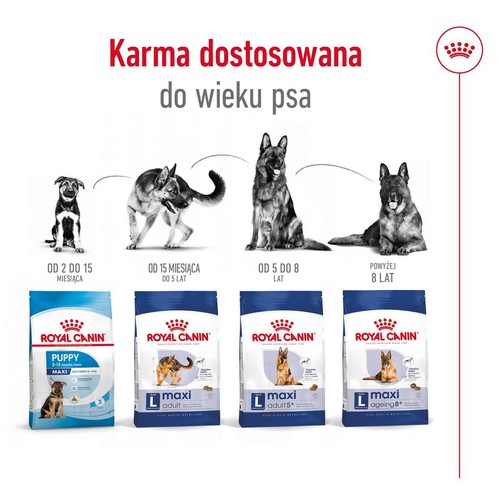 ROYAL CANIN Maxi Adult +5 Jahre 15kg futter ältere Hunde großer 5-8 Jahren - Bild 9 von 11