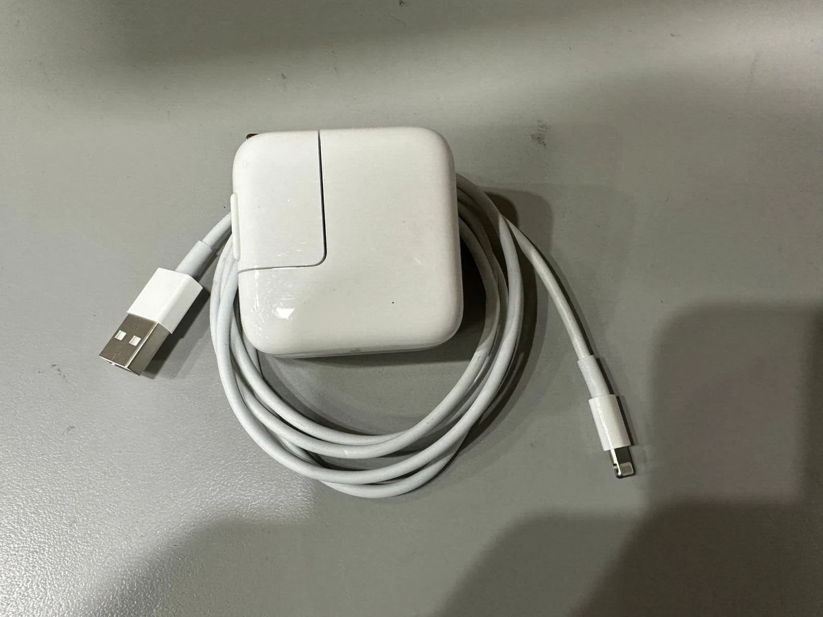 iPad mini 4 128G シルバー アダプター、ケーブル込み iPad mini 4 - 充電アクセサリ - iPadアクセサリ - Apple（日本）
