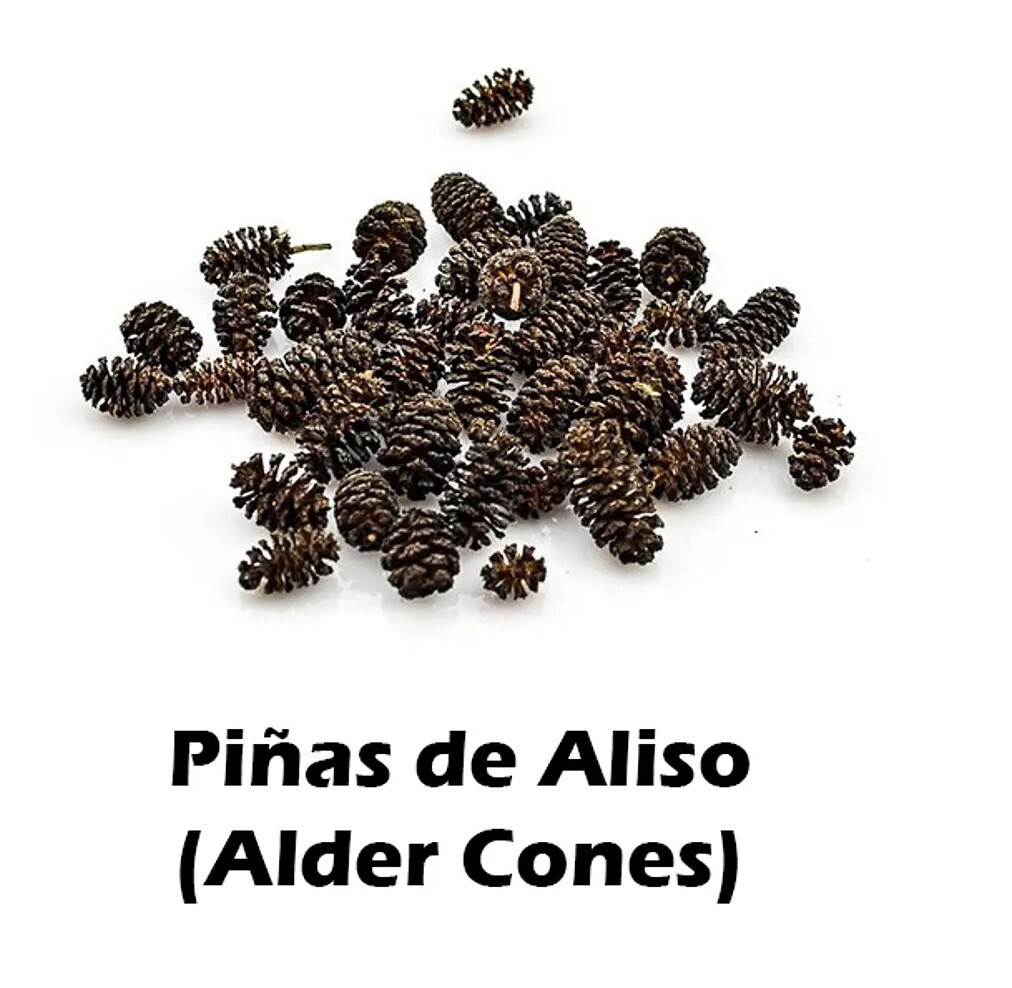 30 x Piñas de Aliso para Acuario ( Alder Cones ) ( Alnus glutinosa )