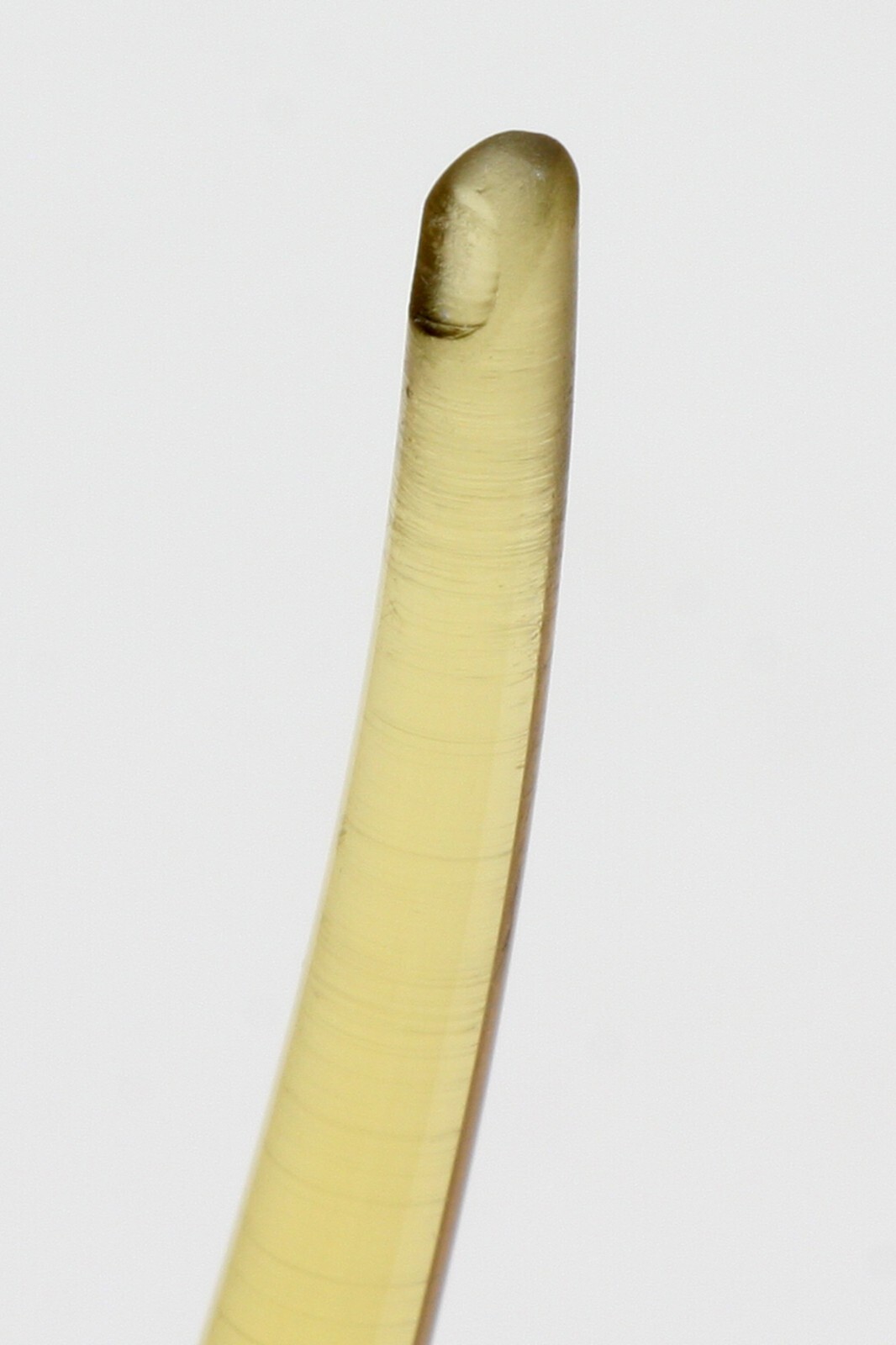 Picture 4 of 6
