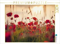 Calvendo Puzzle Mohnblumen Im Abendlicht | 1000 Teile Lege-GrößE 64 × 48 Cm Foto