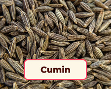 600 Cumin Seeds Non-GMO, Culinary Herb Gardening Seed Packet, Free Shipping
