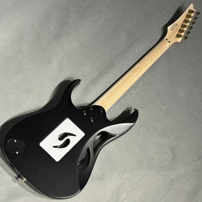 Ibanez PIA3761 Paradise in Art Onyx Black steve vai 4549763288981