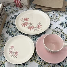 NOS Vintage MCM Salem Pink Bamboo 4 Piece Place Setting Dinner Bread Cup Saucer