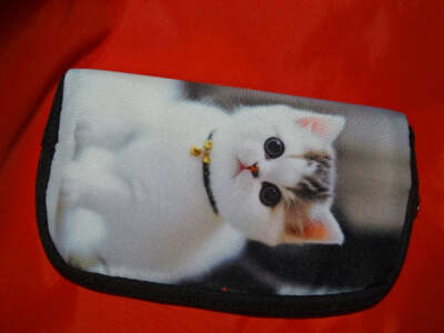 Geldbörse, Portemonnaie, Clutch, Kosmetiktasche, Geschenk, Kulturtasche ''Cutie Cat''