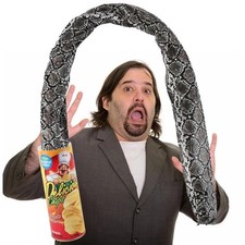 Potato Chip Can Jumping Snake Prank Toy Magic Trick Halloween Party Gag Gift