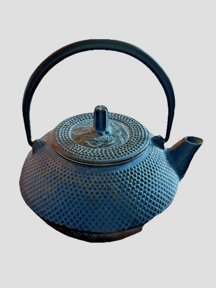 Подлинный Традиционный Японский РЕДКИЙ NAMBU TEKKI Синий Железный Чайник Тетсубин - Изображение 4 из 4