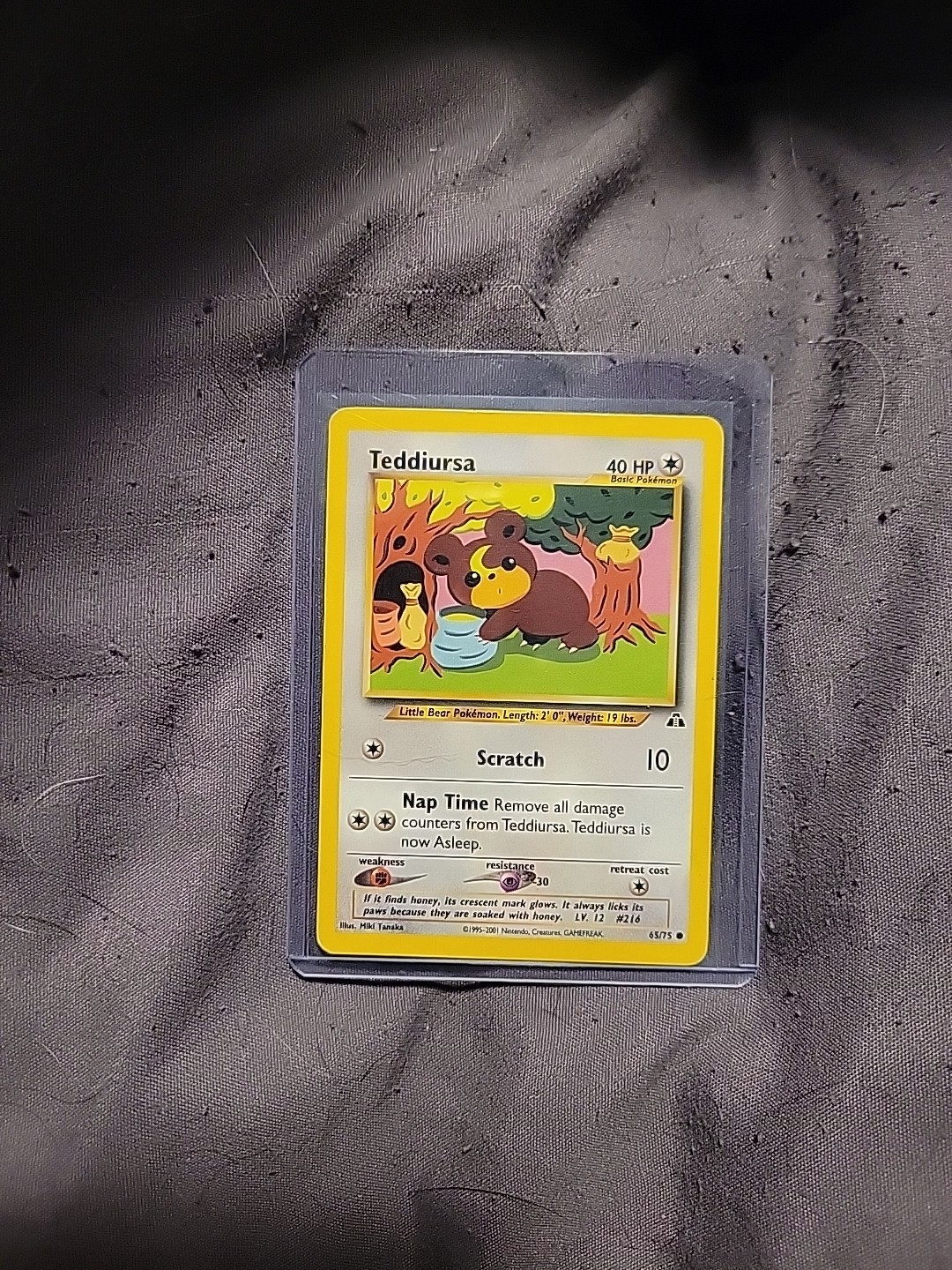 Pokemon Card - Neo Discovery 65/75 - TEDDIURSA (common) 