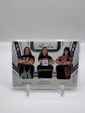 2024 Flawless WWE Shawn Michaels Chyna Triple H #FT-DGX Triple Patch Relic /15
