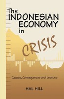Na Na | The Indonesian Economy In Crisis | Taschenbuch | Englisch (1999)