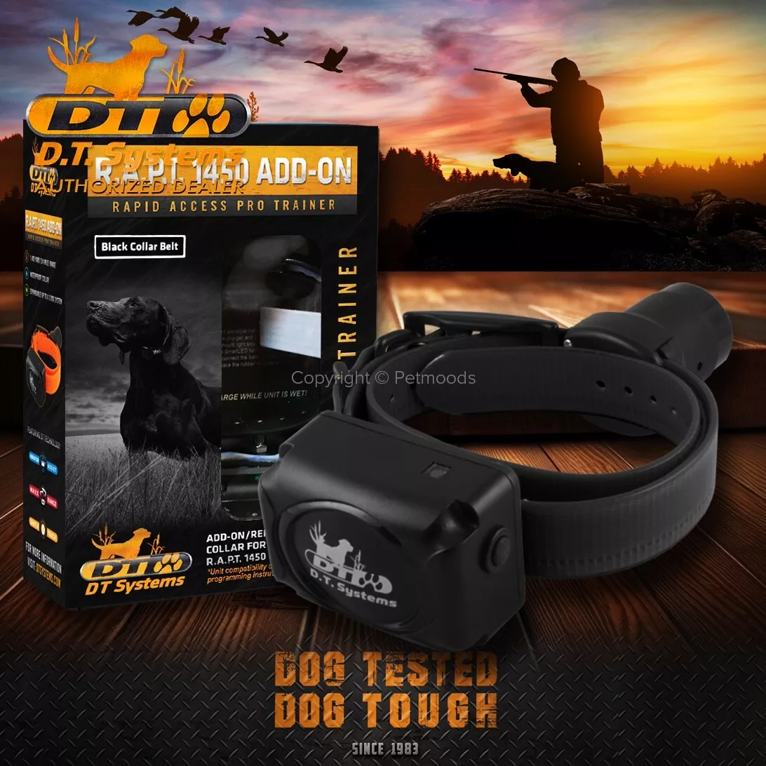Dt systems top dog collar