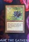 Black Lotus - Limited Edition Beta - MTG 1993