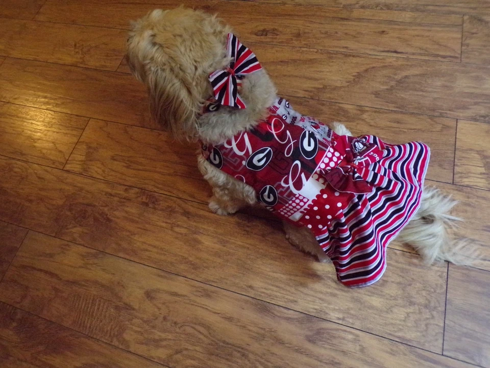 pet dog cheer dress,Georgia Bulldogs, LARGE for small breeds*(read size details) - Image 4 of 4