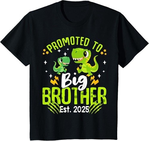 Kids Promoted To Big Brother 2025 Dinosaur T-Rex Boys Toddler T-Shirt, Hoodie